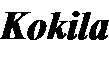 Kokila Bold Italic