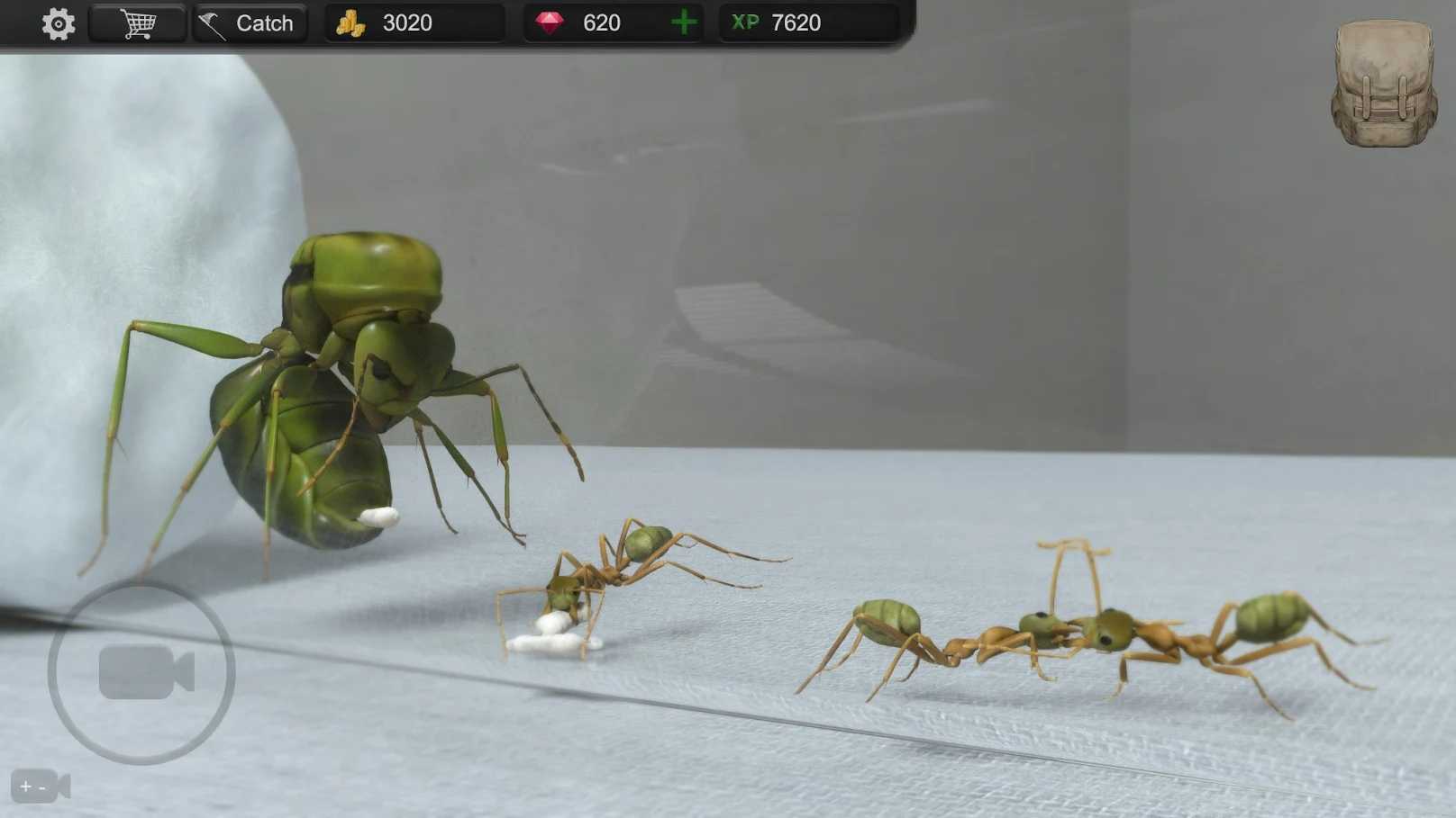 蚂蚁模拟大亨免费版v1.4.2下载