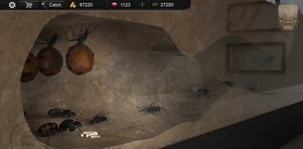 蚂蚁模拟器中文版下载地下蚁国
