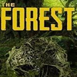 森林免费下载中文版  0.22