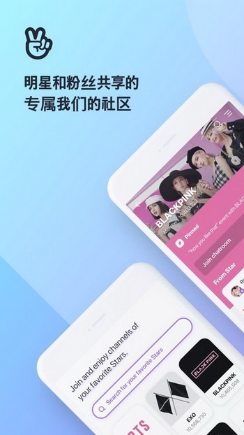 vapp手机中文版