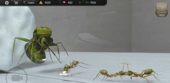 蚂蚁模拟器中文版下载