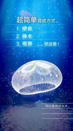 养育水母的治愈游戏最新中文版下载