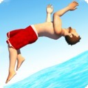 翻转跳水游戏免费版  v2.6.7