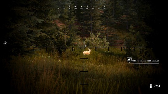 模拟狩猎2正式版