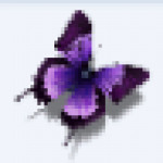 蝴蝶浏览器正式版  v1.4.7
