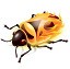 firebug插件最新版  v3.0.11