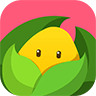 美柚孕期app最新免费版