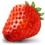草莓文件加密器最新版  v2.7
