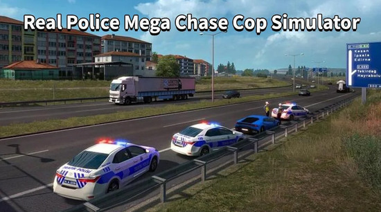 真正的警察模拟器