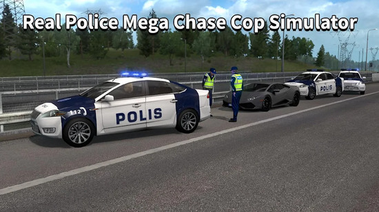 真正的警察模拟器