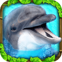 海豚模拟器  v1.0.1